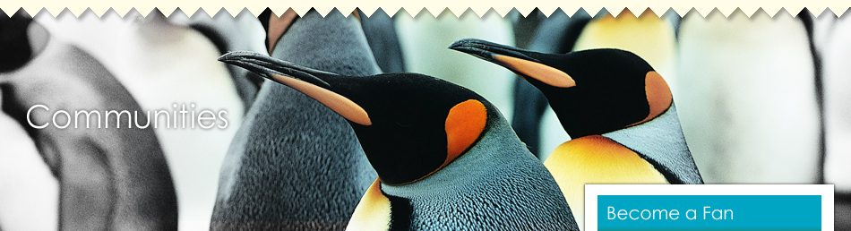 Gamey Studio Communities